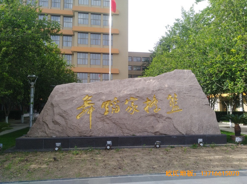 �����赸�W(xu��)Ժ�w��ľ�ذ���O(sh��)����0