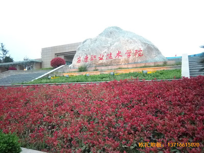 ��������I(y��)���g(sh��)�W(xu��)Ժ�@���^�\�ӵذ尲�b����