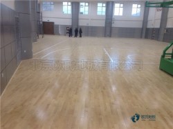20���w����(ch��ng)��ľ�ذ�S�҈�(b��o)�r(ji��)