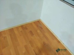 ُ(g��u)�I��ľ���_(t��i)�w��ľ�ذ�����