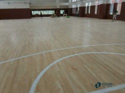 ���Ռ������_�w�����^ľ�ذ�Ʒ���Ă���
